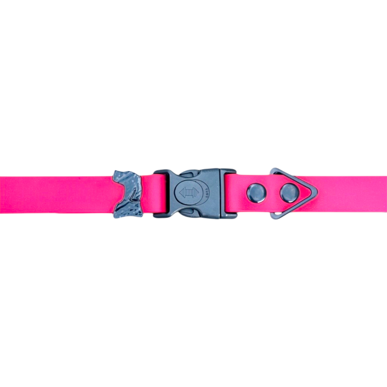 Hot Pink
